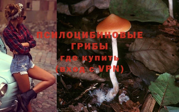 гашишное масло Краснослободск