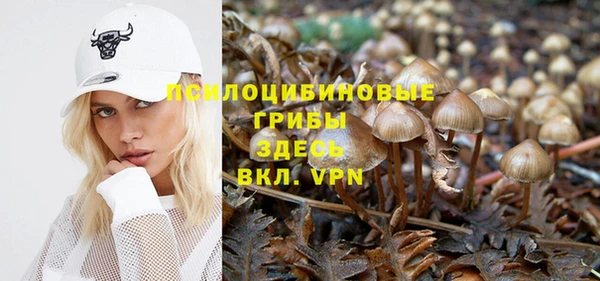 молекула духа Абинск