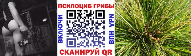 Псилоцибиновые грибы ЛСД  Сокол 