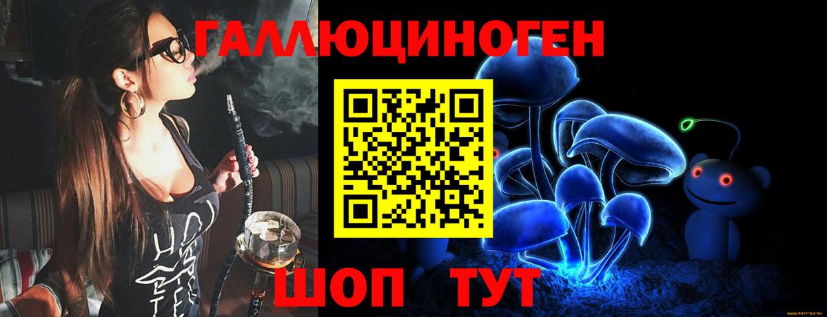 Псилоцибиновые грибы прущие грибы Сокол