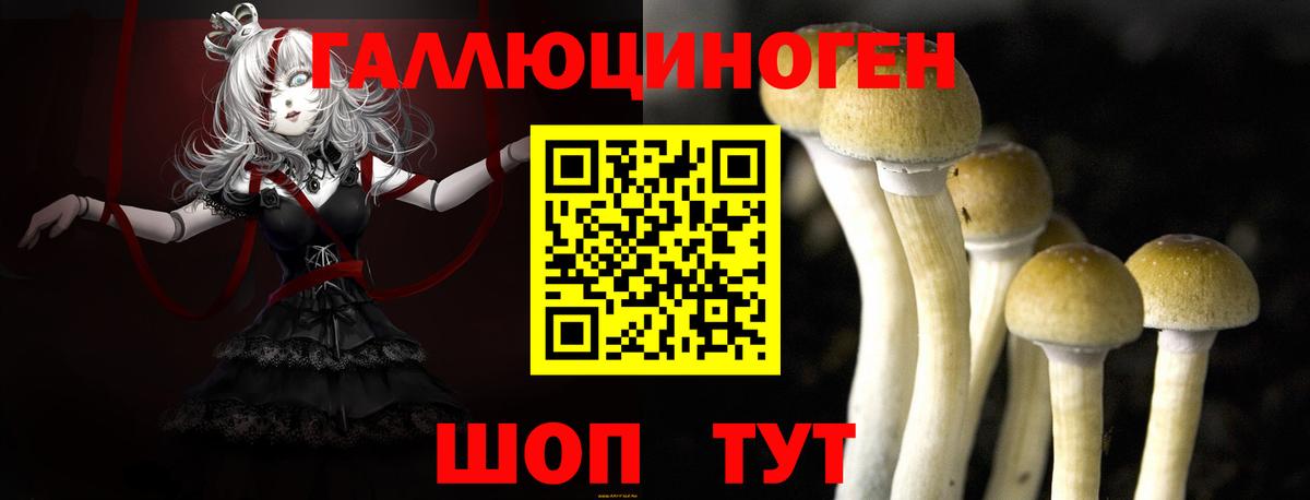 Галлюциногенные грибы Cubensis  Вход с VPN  Сокол 