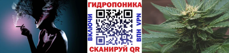 Канабис индика Сокол